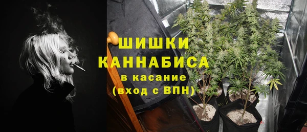 винт Надым